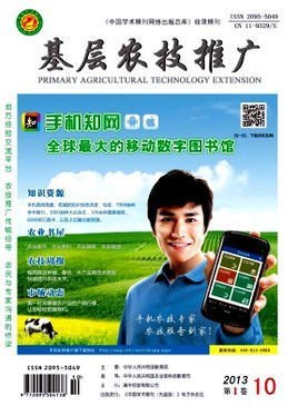 基層農技推廣 助力農業現代化的關鍵路徑