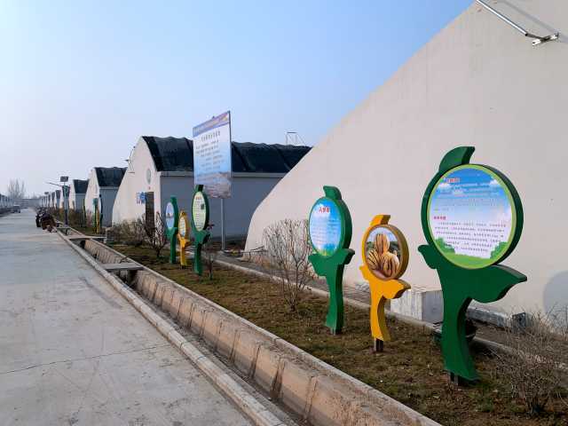 每日一景 山水溝村的美麗蝶變——產(chǎn)業(yè)助力發(fā)展，農(nóng)業(yè)技術(shù)推廣共建美麗鄉(xiāng)村