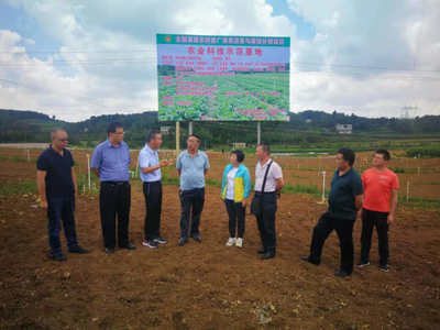 省農(nóng)業(yè)科技發(fā)展中心主任潘爾珣深入畢節(jié)調(diào)研，指導(dǎo)基層農(nóng)技推廣補(bǔ)助項(xiàng)目建設(shè)工作